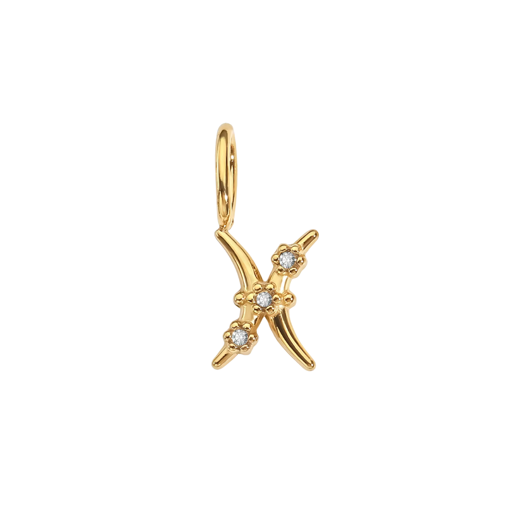 Zodiac Charms