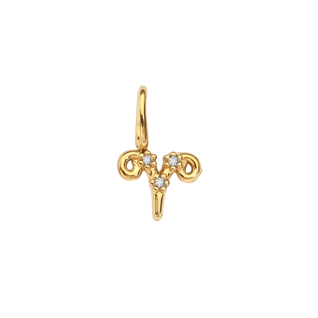 Zodiac Charms