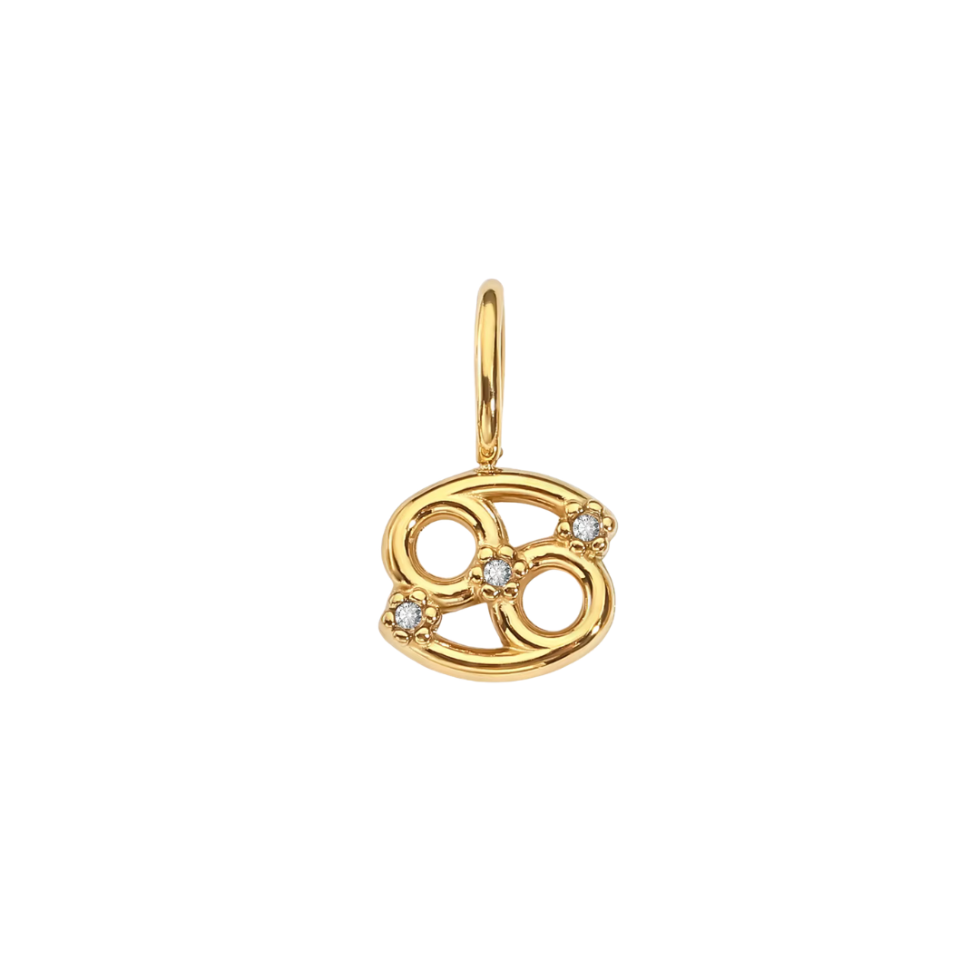 Zodiac Charms