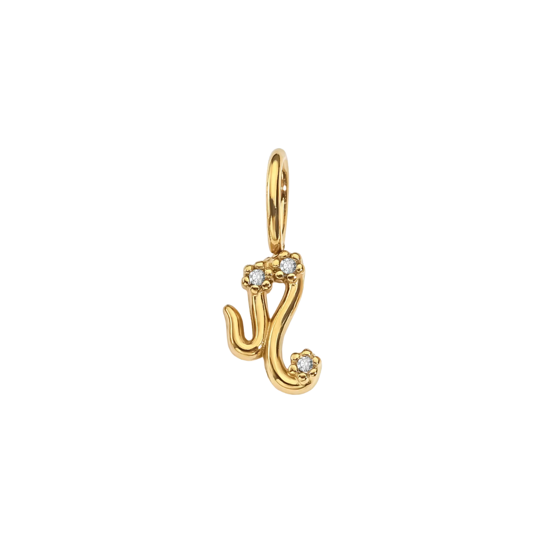Zodiac Charms