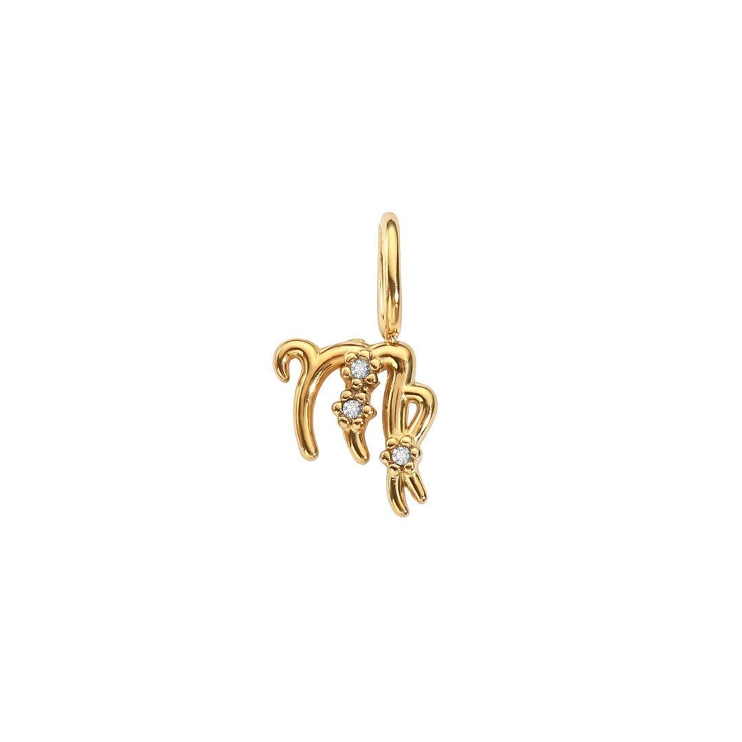 Zodiac Charms