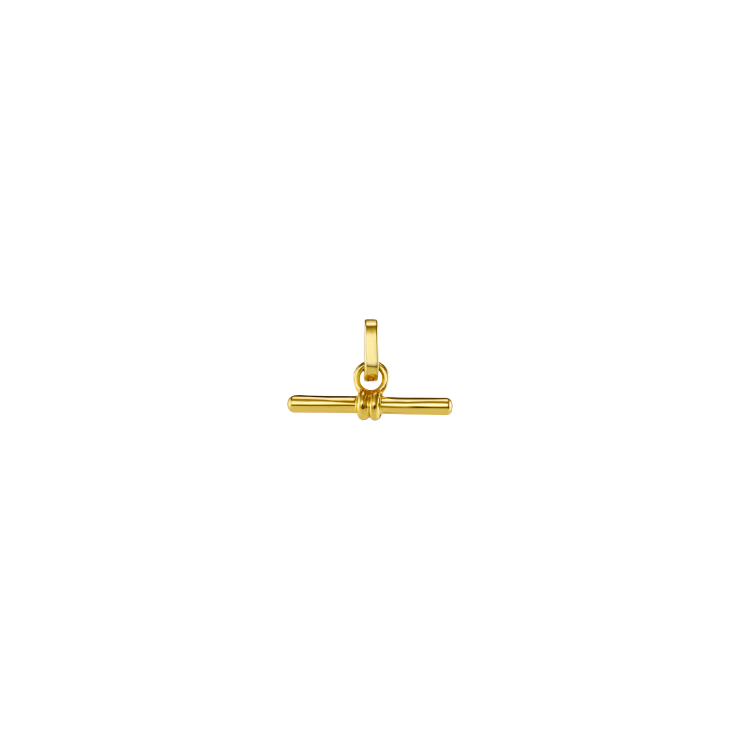 Tbar Charm