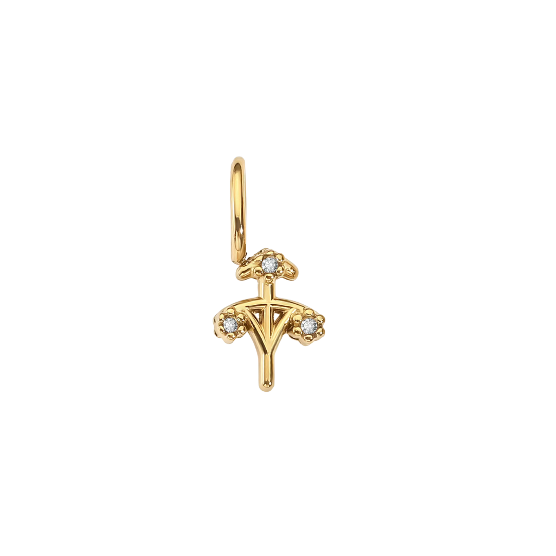 Zodiac Charms