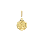 Load image into Gallery viewer, Anchored Charm
