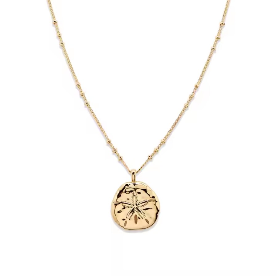 Cove Sand Dollar Necklace