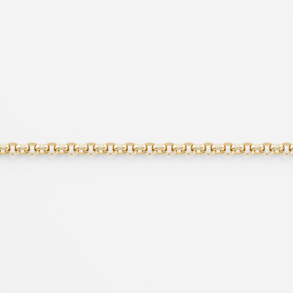 LOLA Petite Rolo Belcher Chain Necklace - Gold Filled