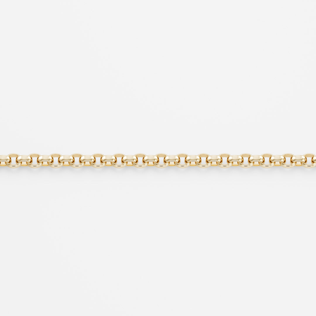 LOLA Petite Rolo Belcher Chain Necklace - Gold Filled
