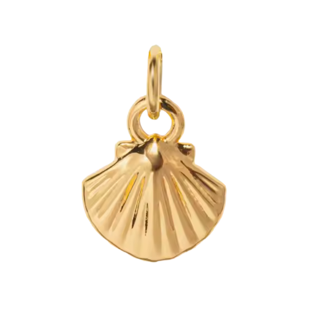 Tiny Shell Charm