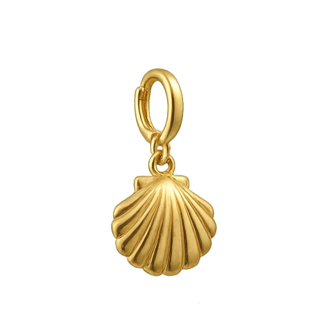 Sea Shell Charm