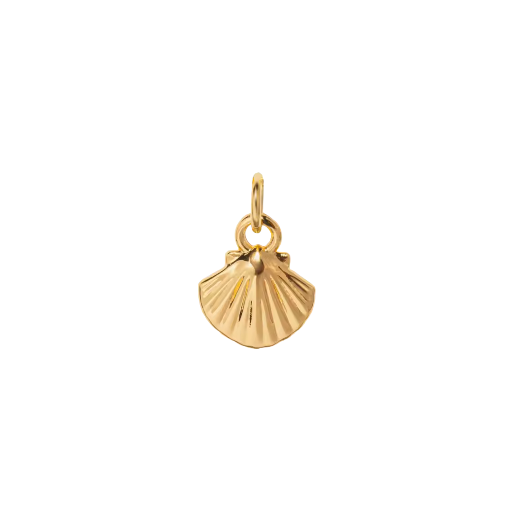 Tiny Shell Charm