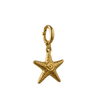 Load image into Gallery viewer, Starfish Charm
