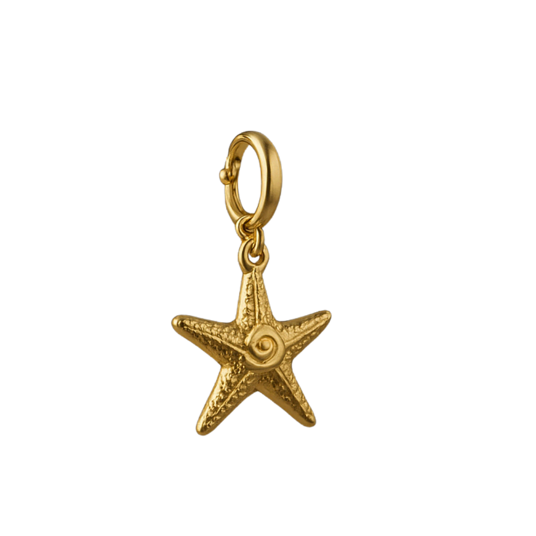 Starfish Charm