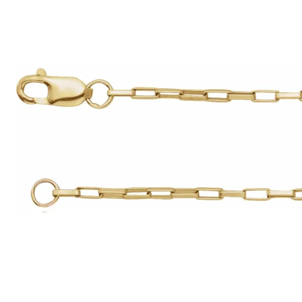 LEXI Long Box Chain Necklace - Gold Filled