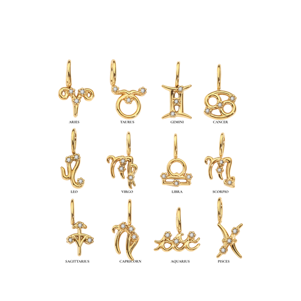 Zodiac Charms