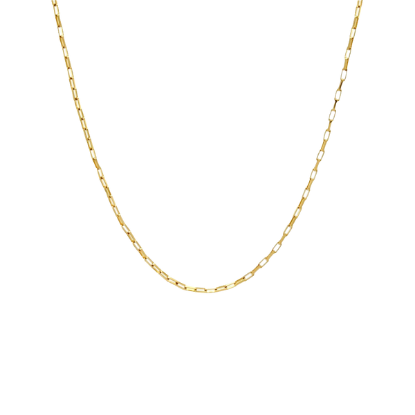 LEXI Long Box Chain Necklace - Gold Filled